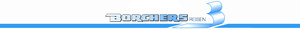 Borchers Reisen Omnibusbetrieb und Autovermietung GmbH & Co. KG
